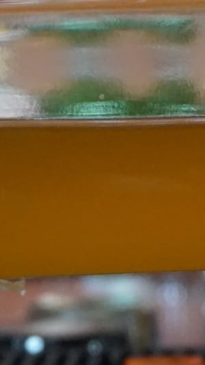 Bärenwasser Honiglikör