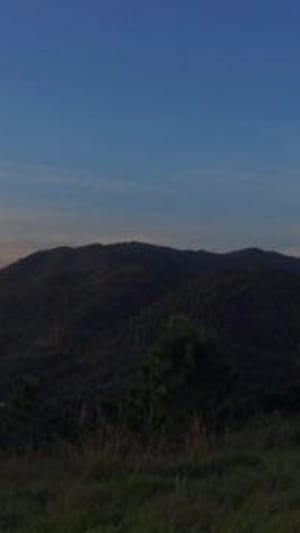 SowFair - Aufforstung und Nachhaltigkeitskultur