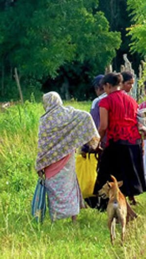 Karma Foods - Moringa