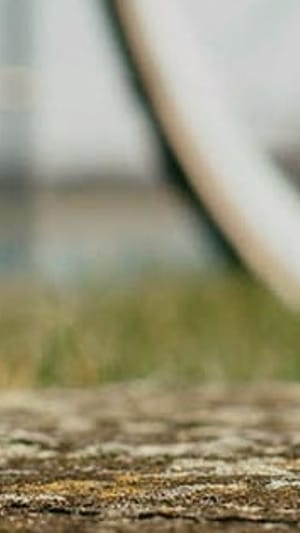 Trinkkost - dein Foodshake für immer und überall