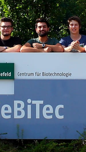 Evobodies - (R)evolutionär gegen Zika & Co.