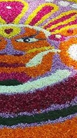 Feldstudie in Südindien zu Female Empowerment