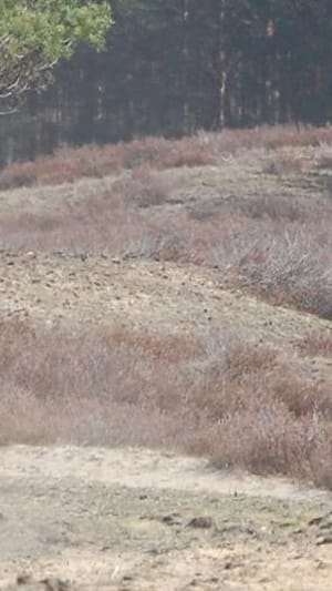 Verringerung von Ausscheiderquoten im Distanzsport