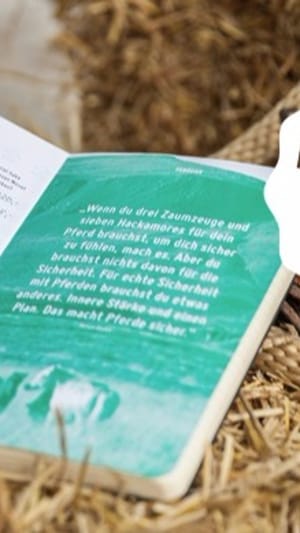 YOKI - Dein Pferdeplaner für 2017