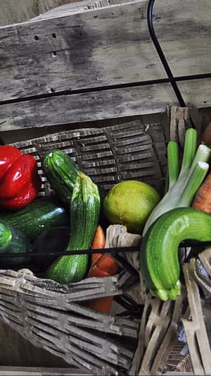 Resteküche - Beste Küche