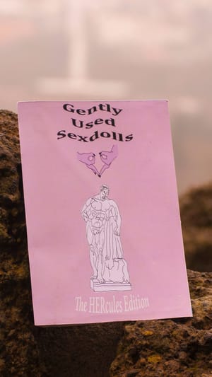 Gently Used Sexdolls Zine
