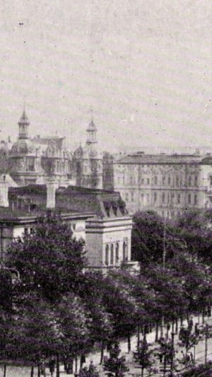 Buchprojekt zur Reichshebammenführerin