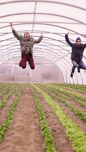 SirPlus - the food outlet shop with delivery