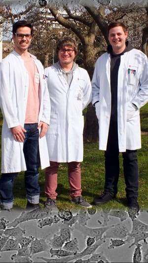 Hautkrebs - Melanoma 2017 Down Under