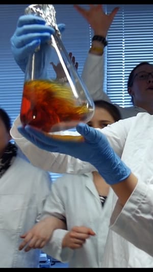 iGEM 2017 - Universität Potsdam