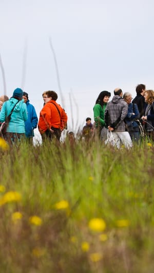 Wir bauen ein grenzenloses Dorf: Hitzacker Dorf