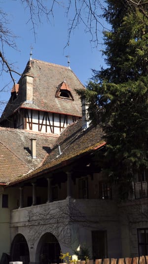 Sanierung des historischen Kastells in Schönau