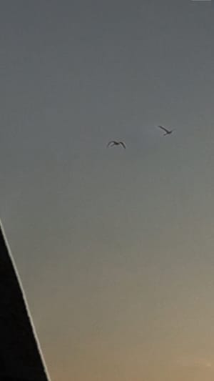 Die Kinder von Morgen I Der Film (Drama)