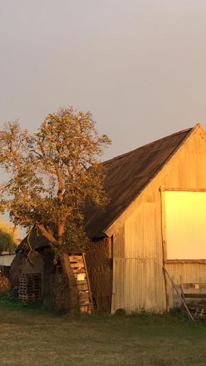 Hofprojekt: ein Ort für freie Jugendarbeit