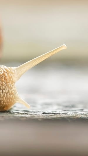 Thoughtfulness in Biology Education