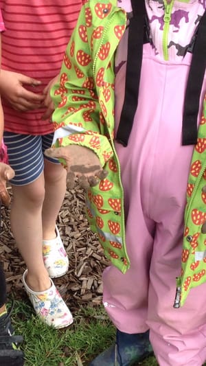 Villekula : Strebergarten