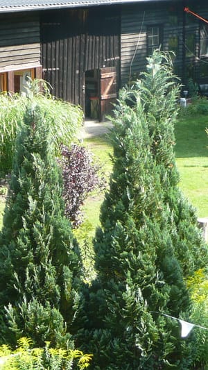 Waldparadies Borkheide - Einfach mal hängen lassen