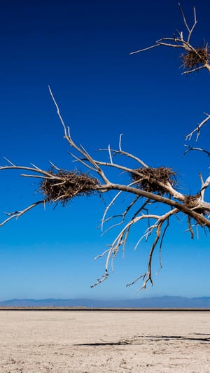 Desertifikation - Wie Menschen Wüsten bilden
