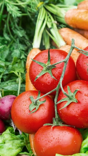 Mein digitaler Wochenmarkt frisch.regional.fair.