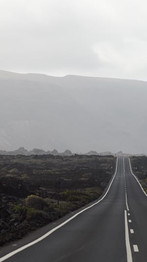 Team Life Nomadic for TERRE DES FEMMES