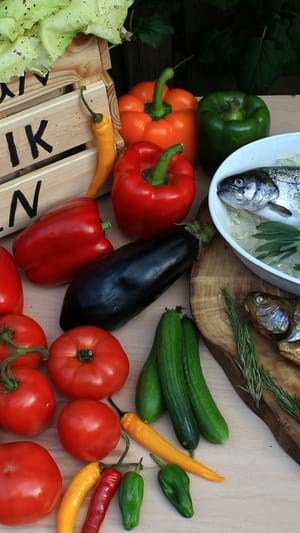 Watertuun - eine Aquaponik-Farm für Bremen