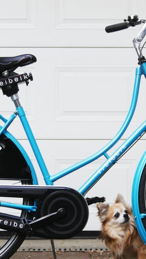 Fahrradfahren neu erleben mit freibeik®