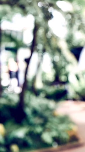 Afrolocke Naturkosmetik