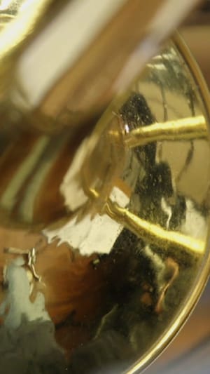 Benjamin Schaefer - Hive Mind