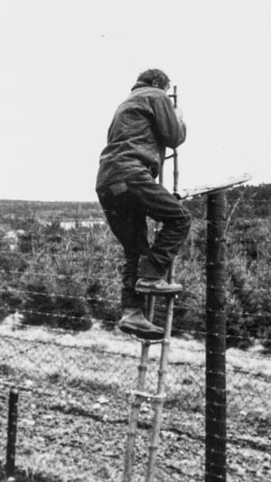 Stories about migration - then and now