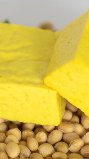 Bio Tofu & Tempeh neu definiert - sojahaus setia