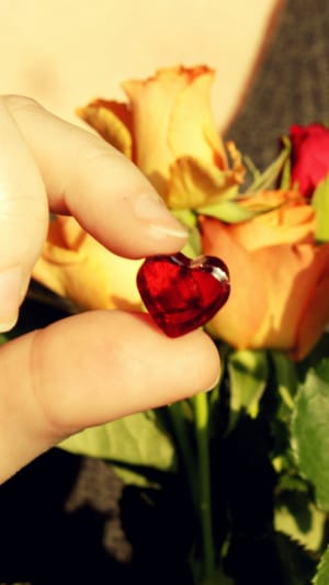 Zveetz soft jelly candy - zuckerfrei & vegan