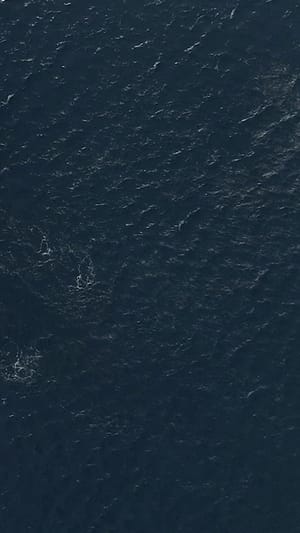 ROWHHOME - Vier Frauen rudern über den Atlantik