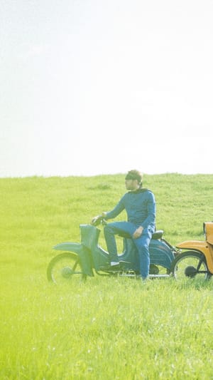 Helden auf Schwalben