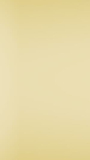 TIMO - Das Tourist-Informations-Mobil