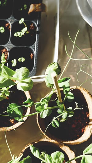 Lerngarten Holsterhausen