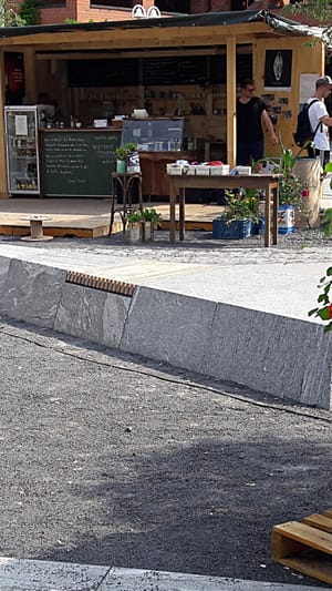 Die Ackerwinde - ein vertikaler Garten