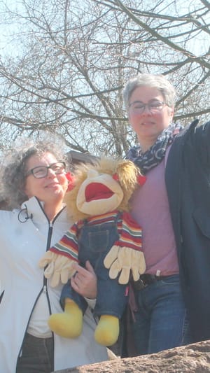 Nettis Clean & Dream Team