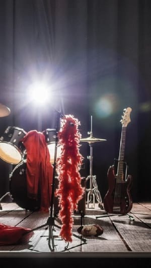 Die Schallplatte von Wir Waren Indie fertig machen