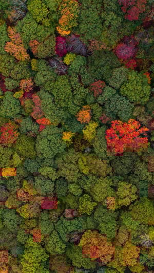 Earth Ratings - Make Sustainability Great Again!