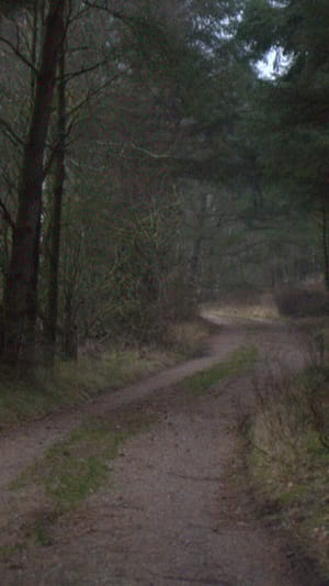 Joseh - Entropy 2019