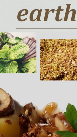 EARTH FOOD - Rezepte für die Zukunft