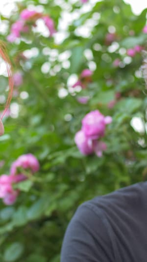 Vegablum - Die fleißigen Blümchen