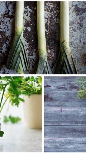 Broth die gesunde Brühe