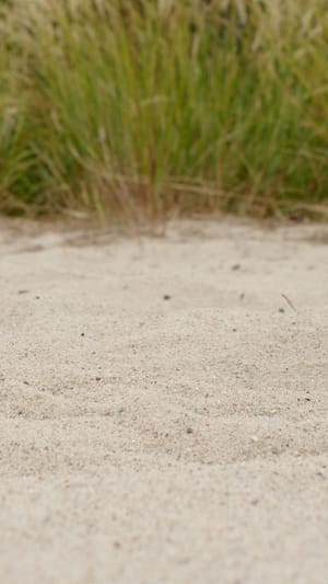 UNVERPACKT UMGEDACHT