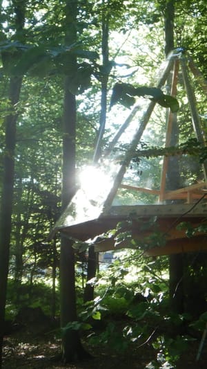 Der Baumhaus-Wander-Pfad