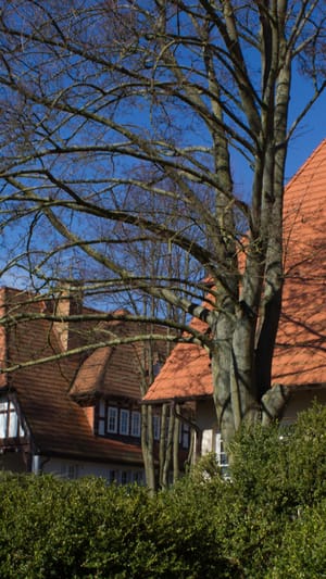 Wildkräuterhof mit Wabenhausherberge & Bienen-Erlebnispfad