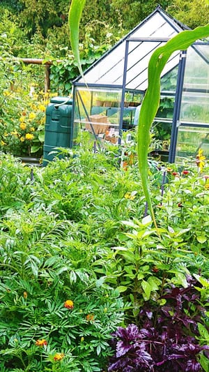 Vegane Selbstversorger Community