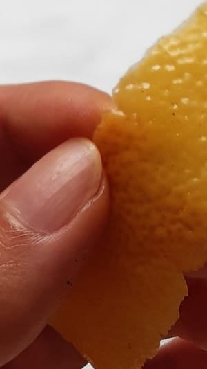 Zitrosophia - Zitronen Poesie