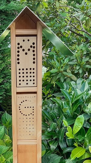 wildbienenhotel.eu - airbnbee für Wildbienen