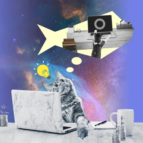 Katze sitzt am Laptop, denkt an sich selbst am Schreibtisch – Glühbirne symbolisiert eine Idee.